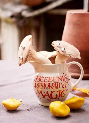 Emma Bridgewater Don't Break the Spell 1/2 pt Jug